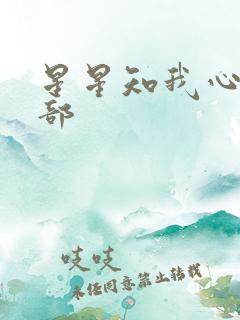 星星知我心第二部