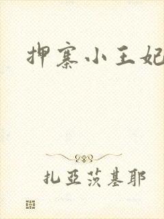 押寨小王妃