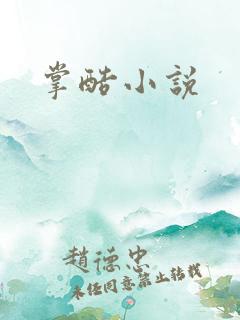 掌酷小说