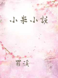 小米小说
