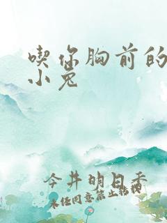 吃你胸前的两只小兔