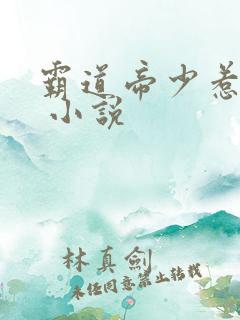 霸道帝少惹不得 小说