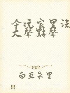 今晚家里没人叫大声点声