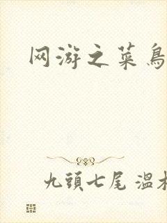 网游之菜鸟高手