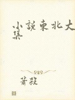 小说东北大炕全集