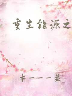 重生能源之王