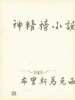 神精榜小说