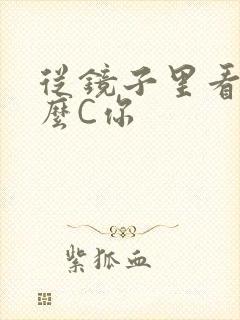 从镜子里看我怎么C你