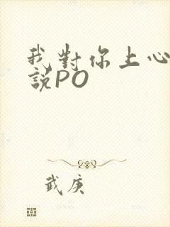 我对你上心了小说PO