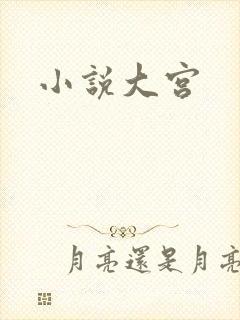 小说大宫