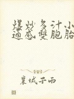 爆炒多汁小美人通感双胞胎