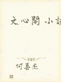 文心阁 小说