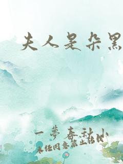 夫人是朵黑心莲