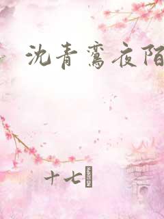 沈青鸾夜陌凌