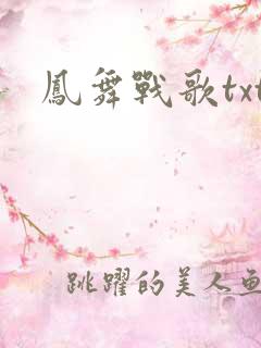 凤舞战歌txt