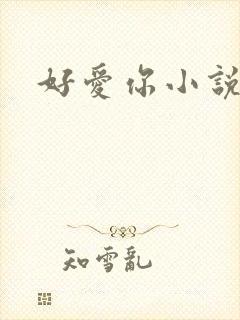 好爱你小说