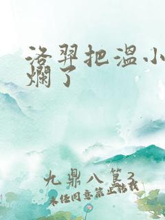 洛羿把温小辉做烂了