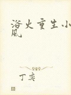 浴火重生小说陈风