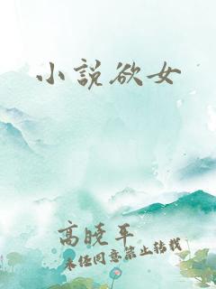 小说欲女