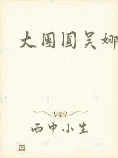 大团圆吴娜高敏