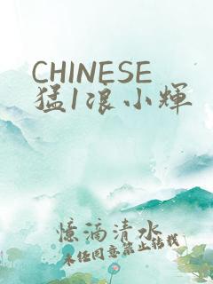 CHINESE猛1浪小辉