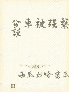 公车被强系列小说