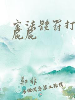 家法体罚打丫鬟屁屁