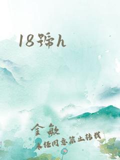 18号h