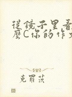 从镜子里看我怎么C你的作文