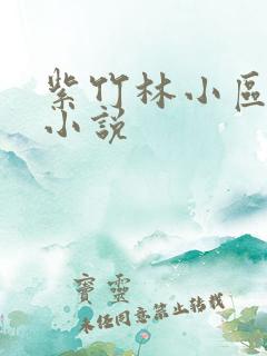 紫竹林小区快递小说