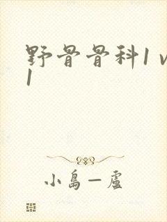 野骨骨科1 v1