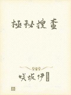 极秘搜查