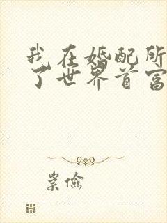 我在婚配所摇到了世界首富小说