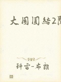 大团圆结2阅读