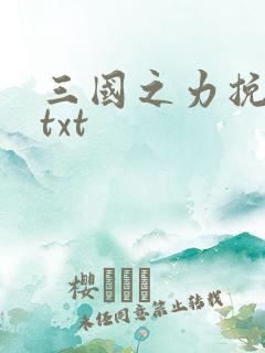 三国之力挽狂澜txt
