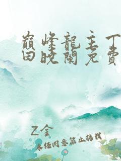 巅峰龙主丁长顺田晓兰免费阅读