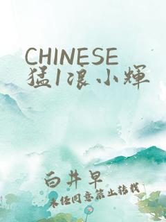 CHINESE猛1浪小辉