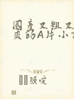 国产又粗又黄又爽的A片小说