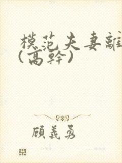 模范夫妻离婚了(高干)