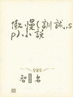 傲慢(训诫,sp)小说