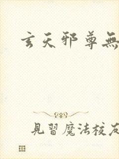 玄天邪尊无弹窗