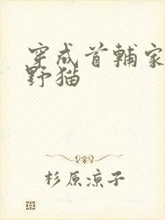 穿成首辅家的小野猫