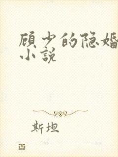 顾少的隐婚罪妻小说