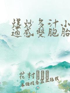 爆炒多汁小美人通感双胞胎燎锋