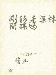 刚的老婆林彦是间谍吗