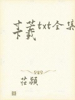 寸芒txt全集下载
