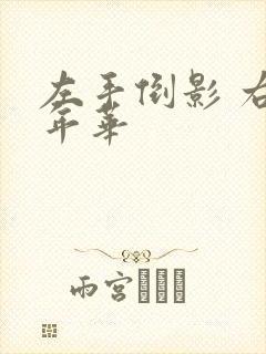 左手倒影 右手年华