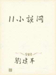 11小说网