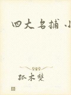 四大名捕 小说