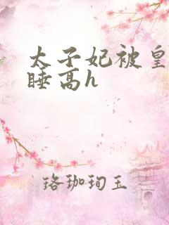 太子妃被皇上强睡高h